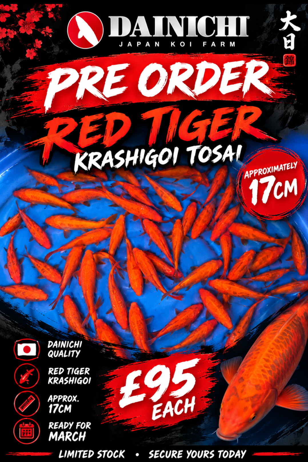 DAINICHI - RED TIGER TOSAI (PRE ORDER FOR MARCH)
