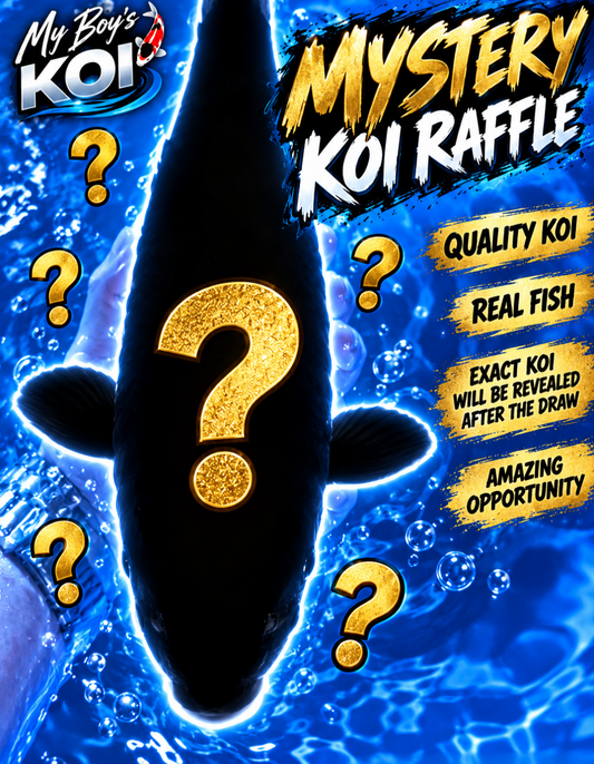 RAFFLE - MYSTERY FISH