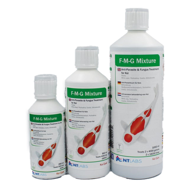 FMG 500ML