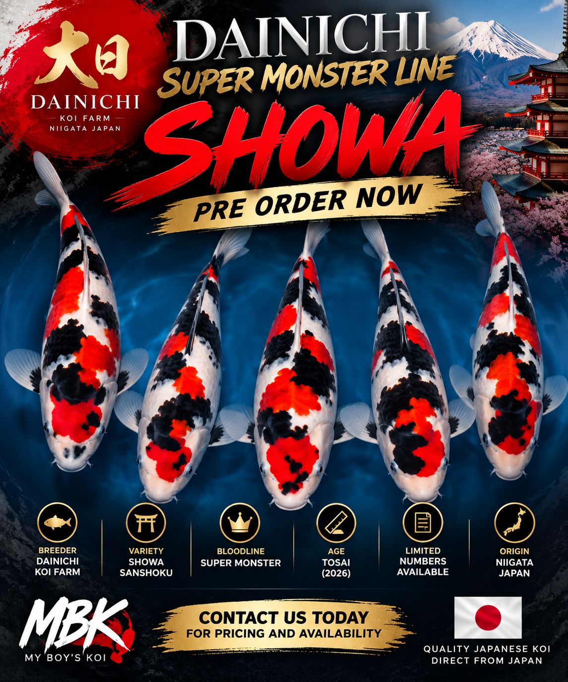 PRE ORDER - DAINICHI SUPER MONSTER TOSAI - READY FOR MARCH 2027