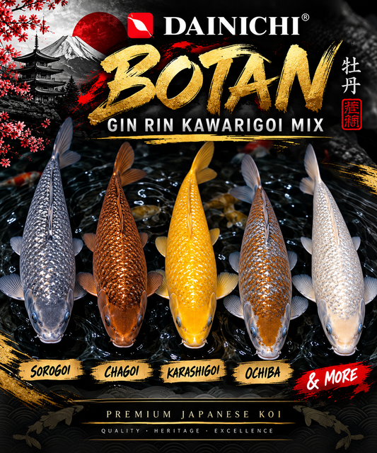 PRE ORDER - BOTAN LINE GOI.... WORLD FAMOUS JUMBO LINE